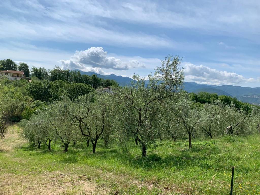 Terreno a Isernia in Contrada Castagna - Foto 4