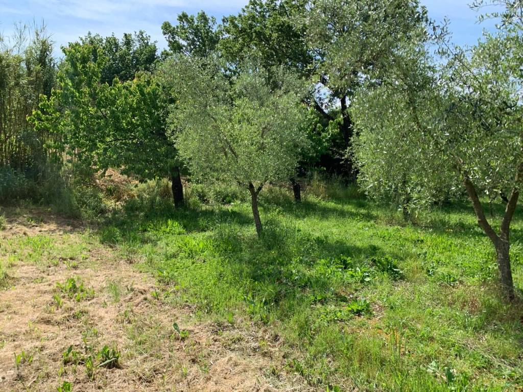 Terreno a Isernia in Contrada Castagna - Foto 5