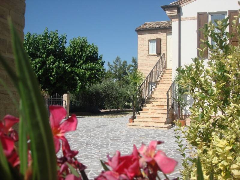 Rustico / casale a Montefiore dell'aso - Foto 2