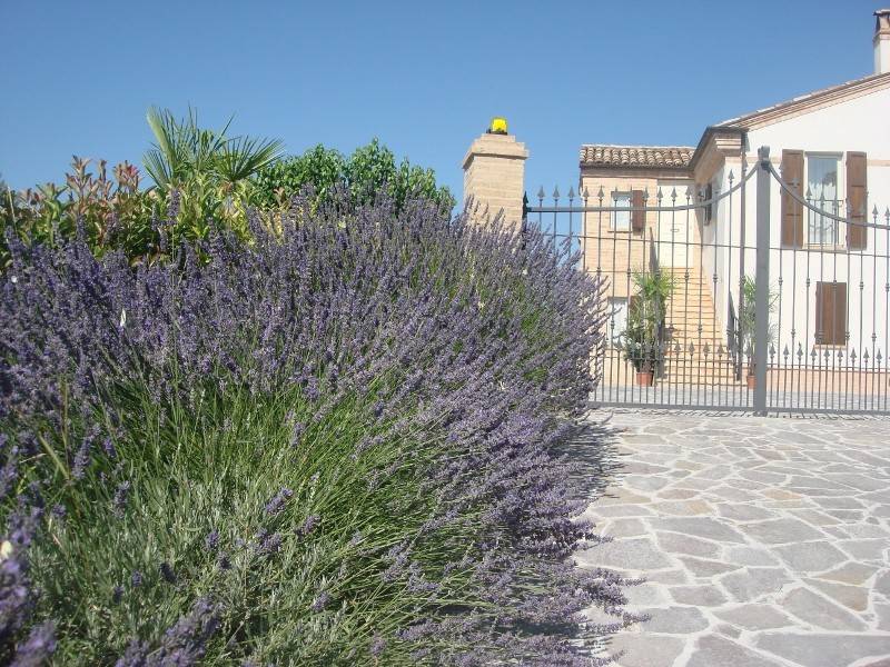 Rustico / casale a Montefiore dell'aso - Foto 4