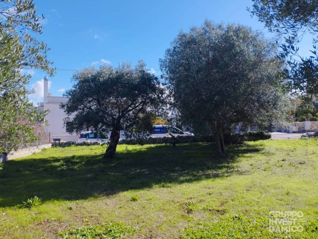 Terreno a Cisternino in Belvedere di Caranna - Foto 2