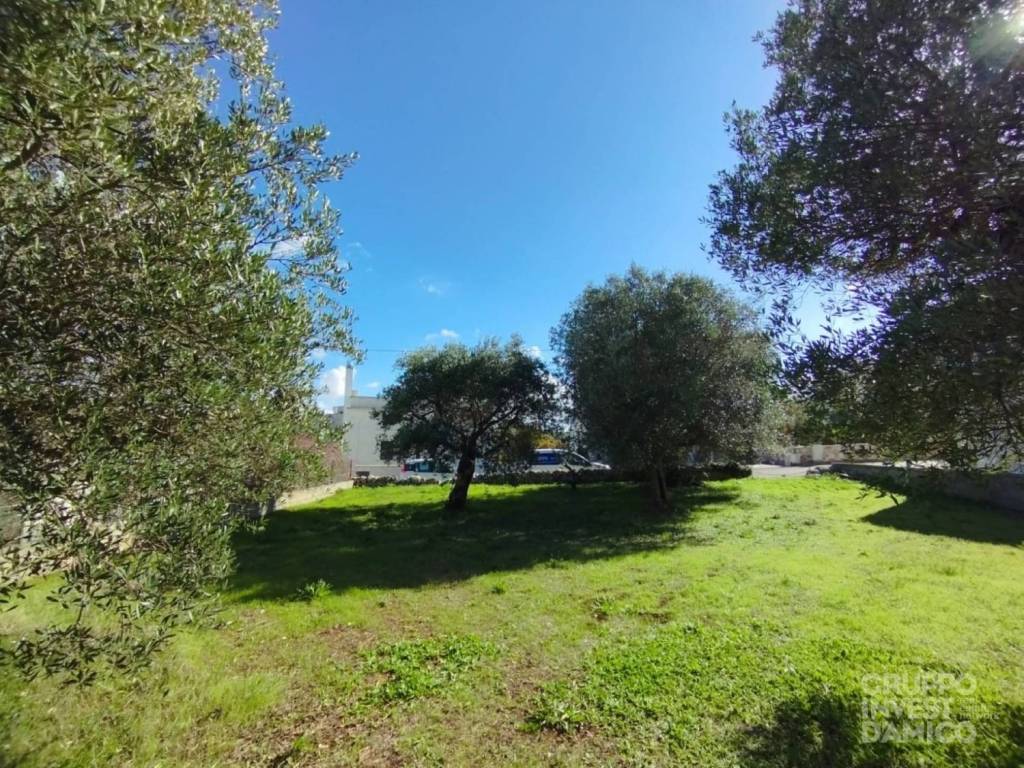 Terreno a Cisternino in Belvedere di Caranna - Foto 3