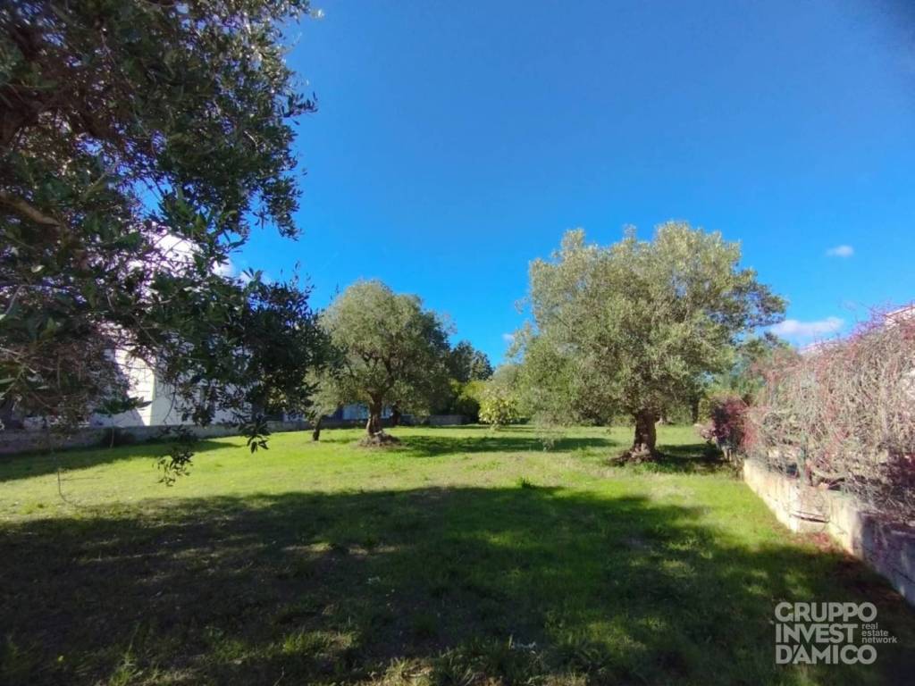 Terreno a Cisternino in Belvedere di Caranna - Foto 4