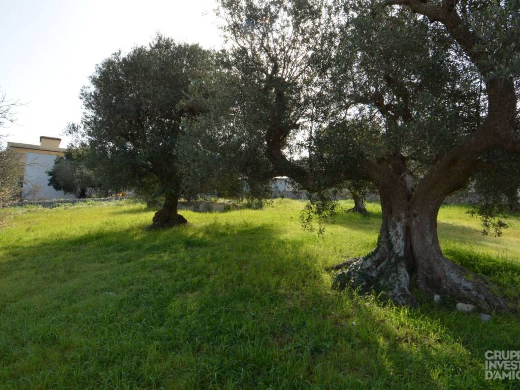Terreno a Cisternino in Via Giovanni Pascoli - Foto 2