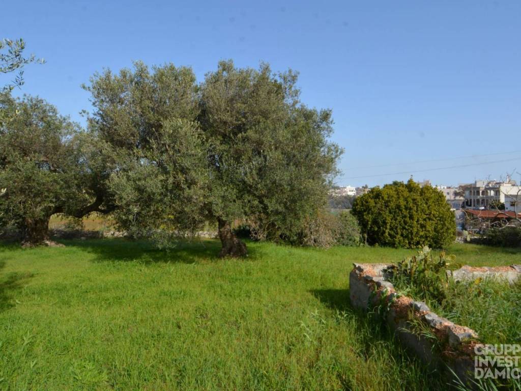 Terreno a Cisternino in Via Giovanni Pascoli - Foto 4