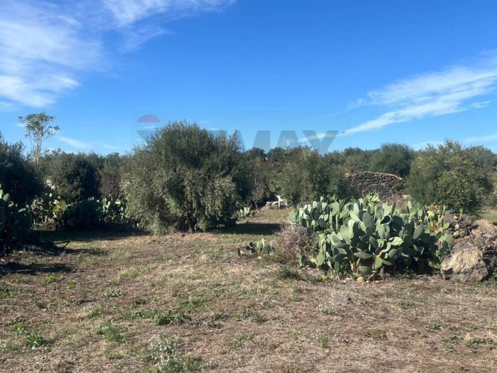 Terreno a Belpasso in STRADA COMUNALE DECIMA - Foto 2
