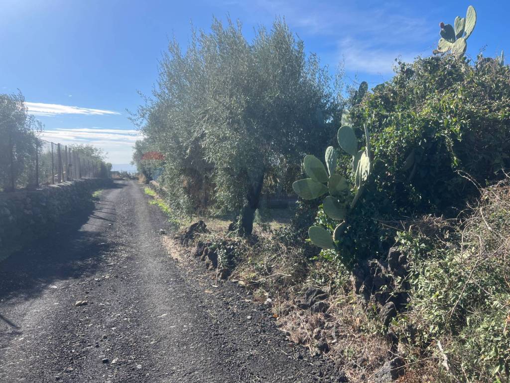Terreno a Belpasso in STRADA COMUNALE DECIMA - Foto 4