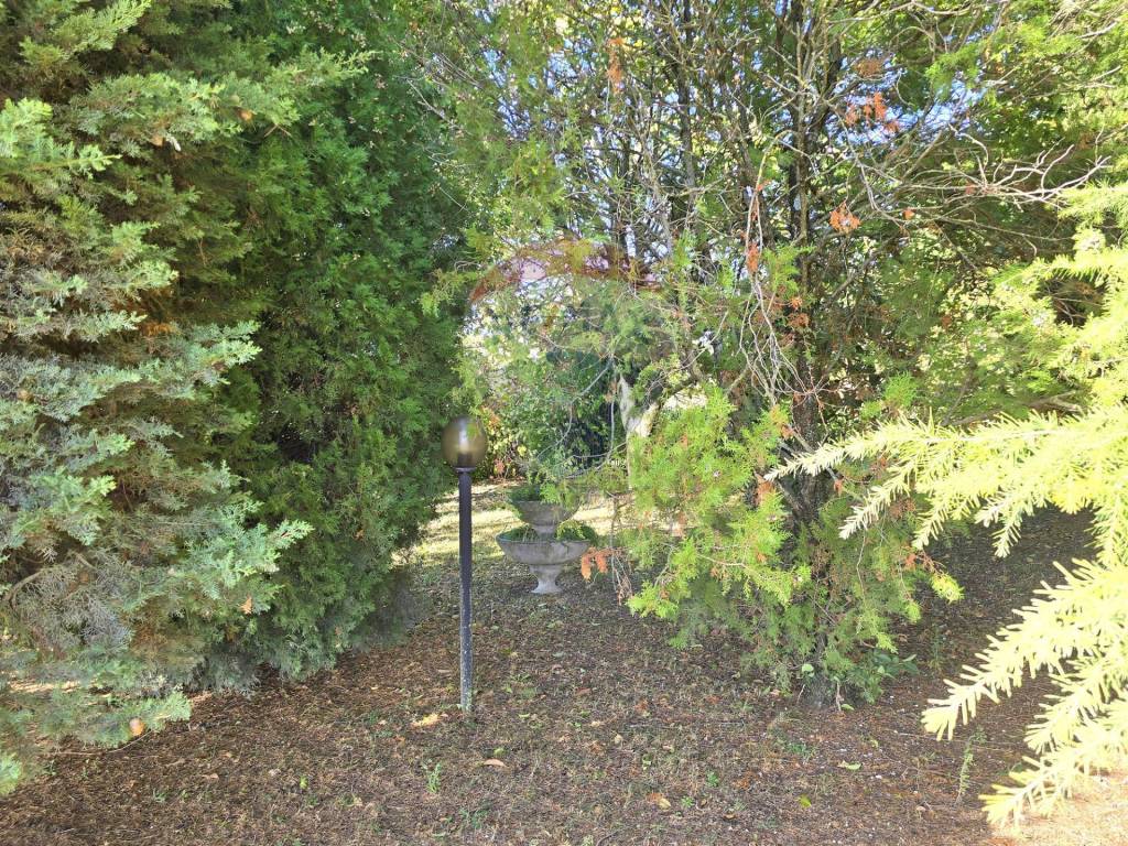 Casa indipendente a Treia - Foto 4