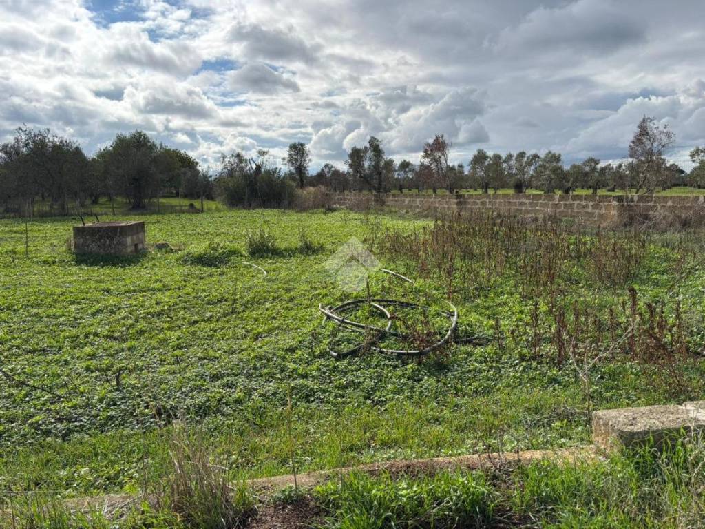 Terreno a Alezio in Località Yala - Foto 2