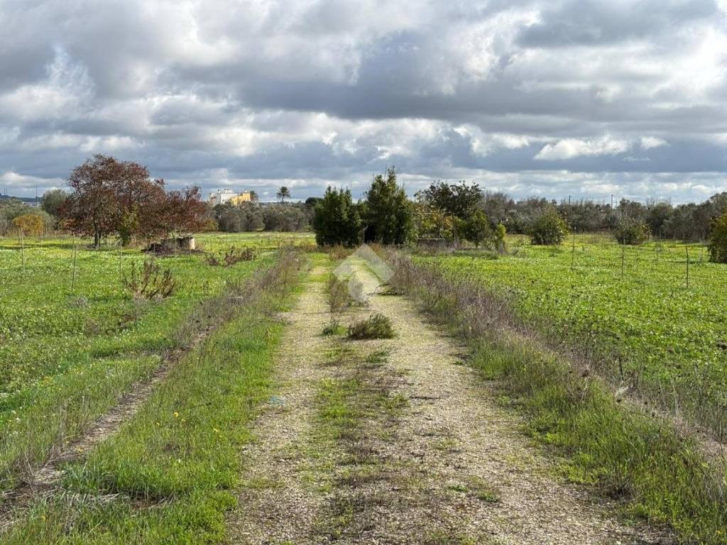 Terreno a Alezio in Località Yala - Foto 3