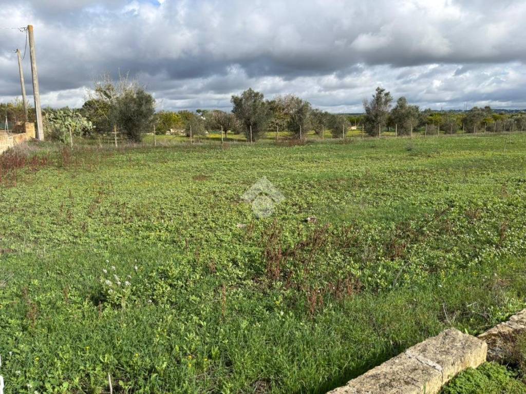 Terreno a Alezio in Località Yala - Foto 4