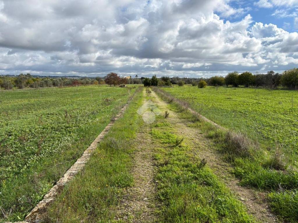 Terreno a Alezio in Località Yala - Foto 5