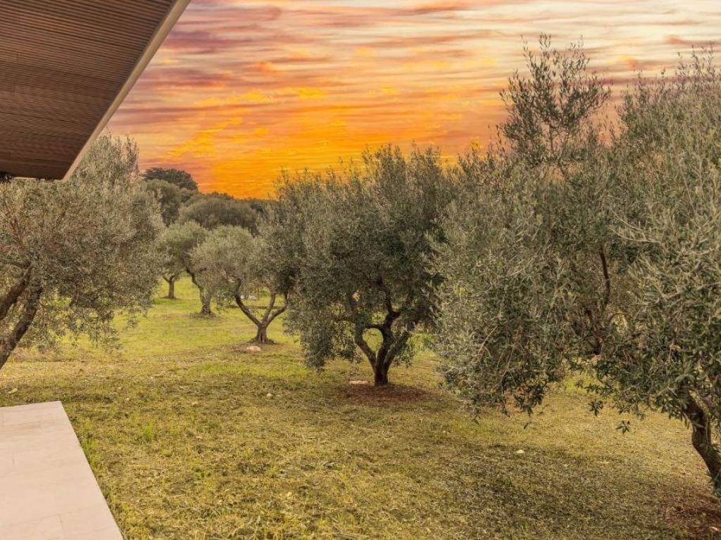 Villa a Ostuni in Contrada Cappelluzzo - Foto 5