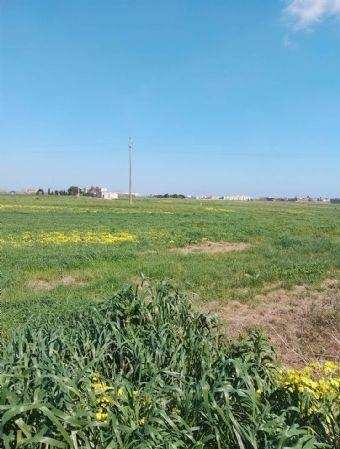 Terreno a Brindisi - Foto 2
