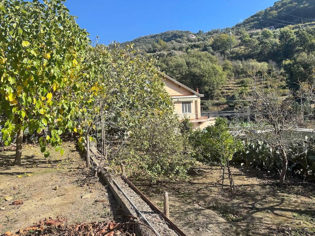 Casa indipendente a Vallecrosia in Via Provinciale, 21 - Foto 4
