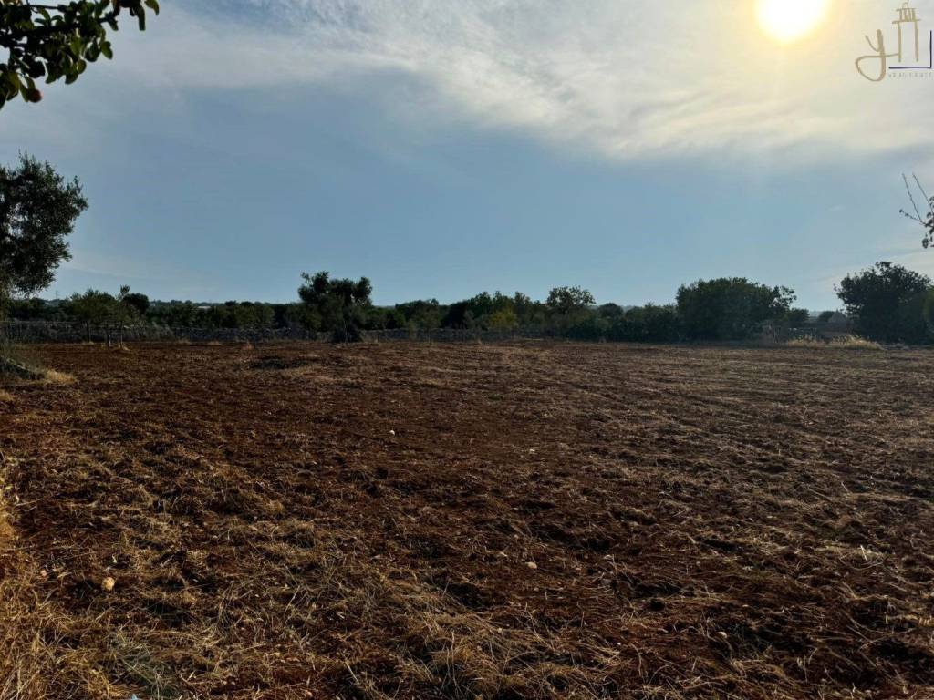 Rustico / casale a Polignano a mare in Strada Comunale Ciaffallo - Foto 5