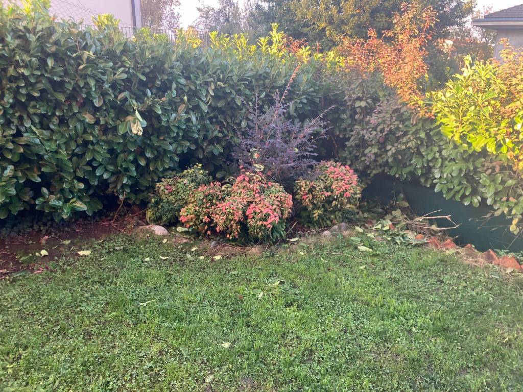 Appartamento a Costa masnaga in Via Luigi Cadorna - Foto 4