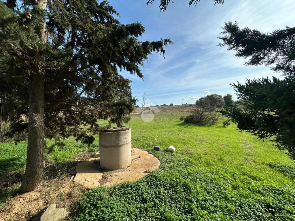 Terreno a Selargius in Loc. Sa Musciurida - Foto 3