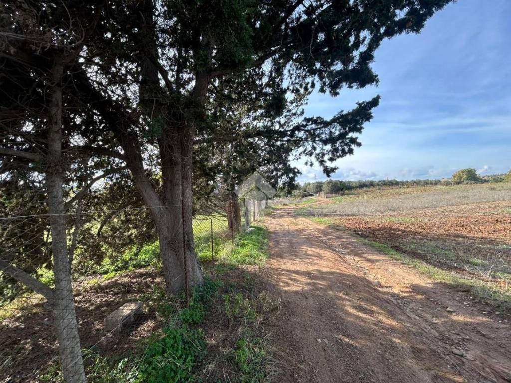 Terreno a Selargius in Loc. Sa Musciurida - Foto 4