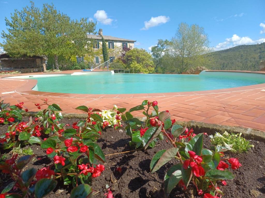 Villa a Murlo - Foto 2