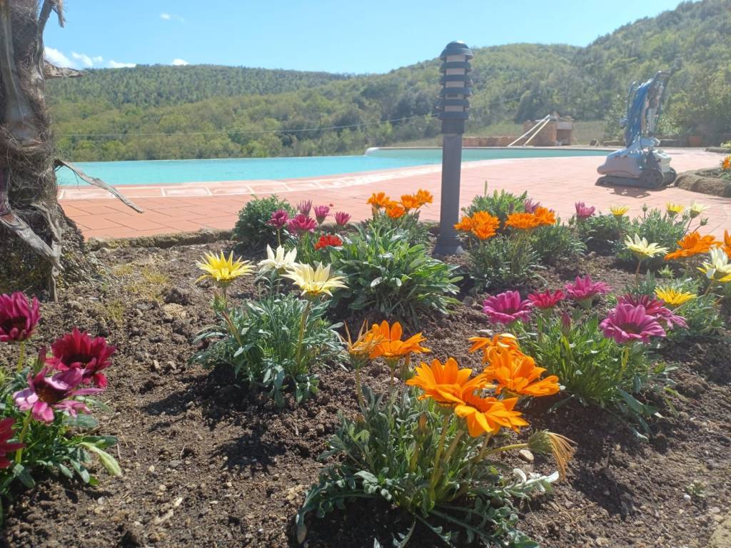 Villa a Murlo - Foto 3