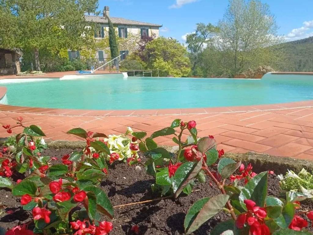 Villa a Murlo - Foto 5