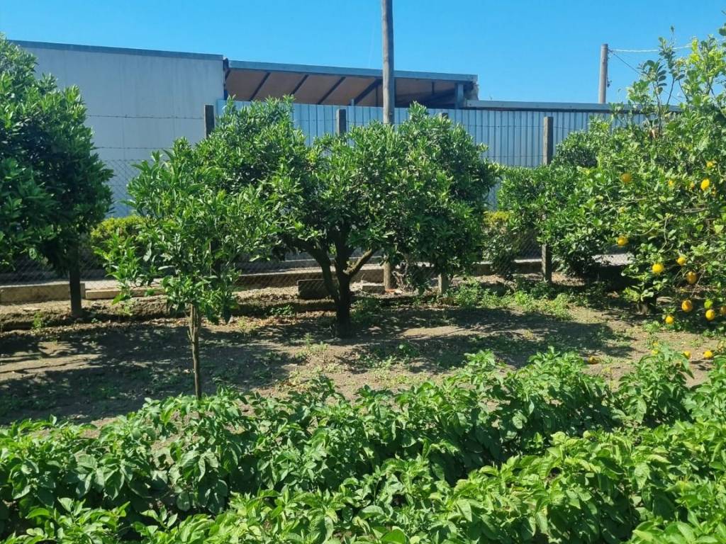 Terreno a Angri in Via Canneto 2 - Foto 3
