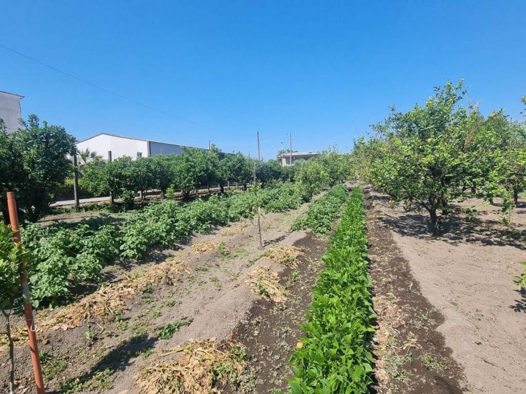 Terreno a Angri in Via Canneto 2 - Foto 4