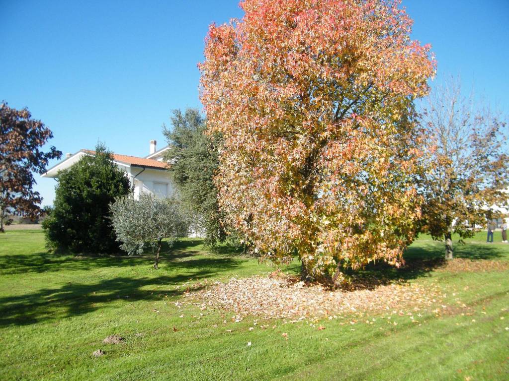 Villa a Camisano vicentino - Foto 3