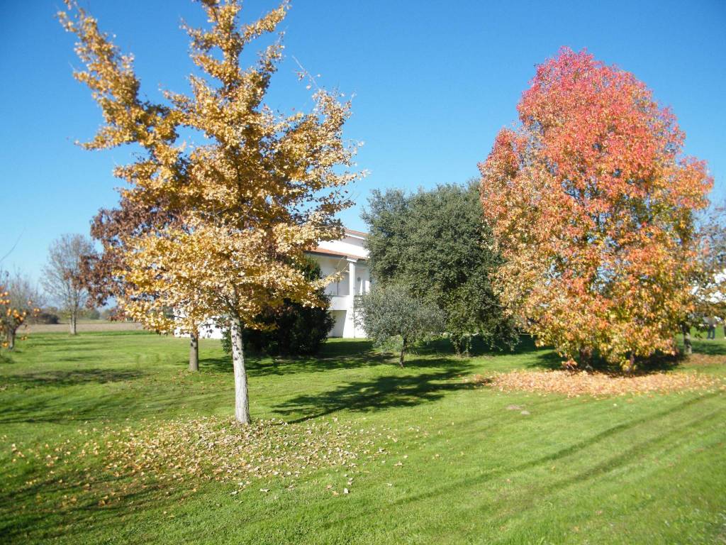 Villa a Camisano vicentino - Foto 4