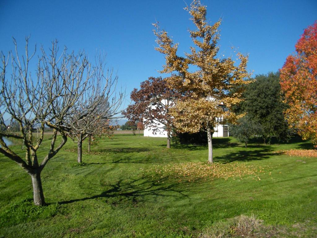 Villa a Camisano vicentino - Foto 5