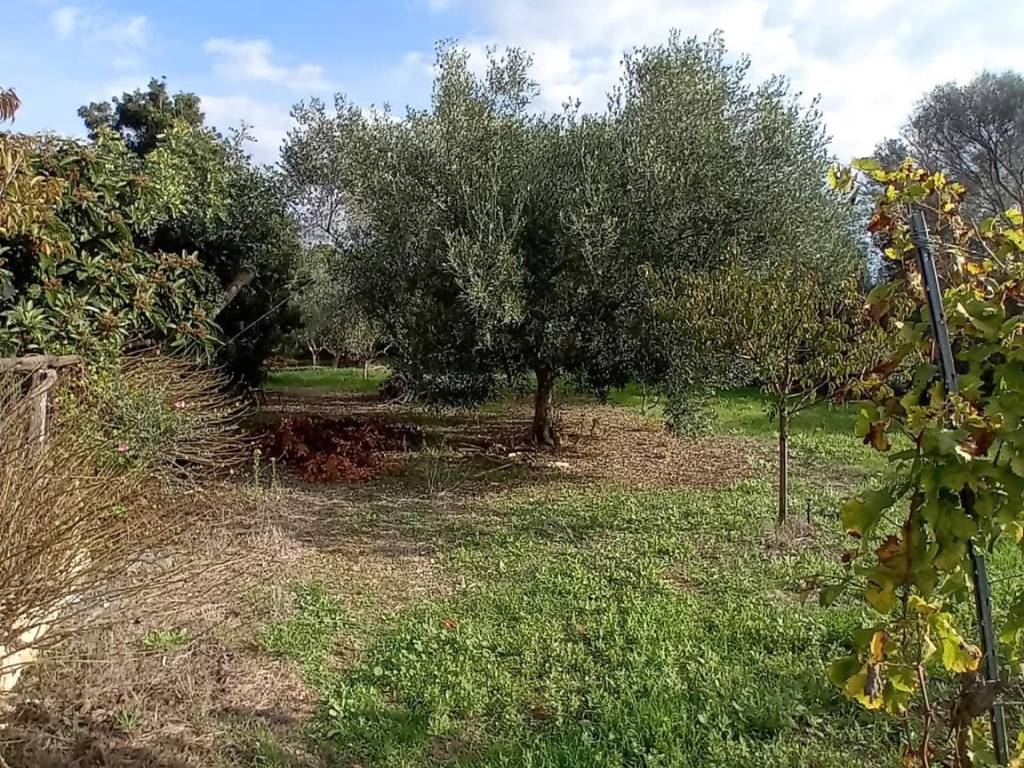 Rustico / casale a San vero milis in Lungomare S'Arena Scoada - Foto 5
