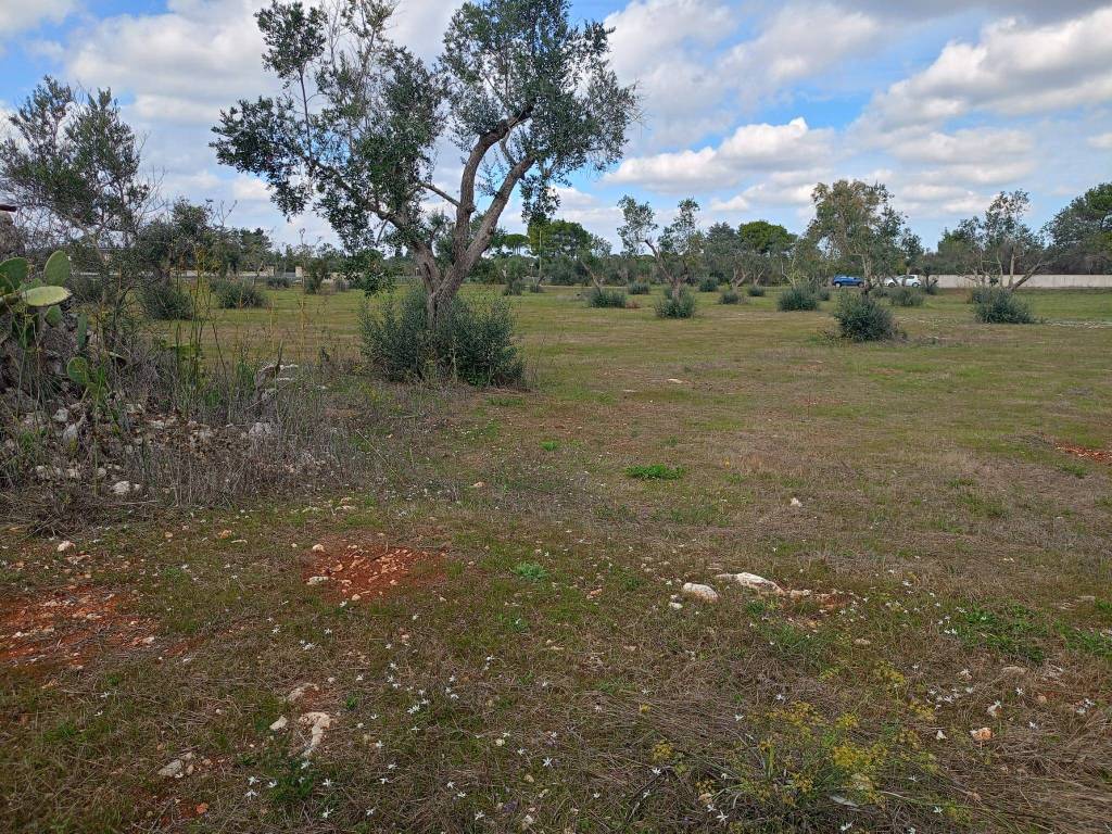 Terreno a Muro leccese in SP157 - Foto 2