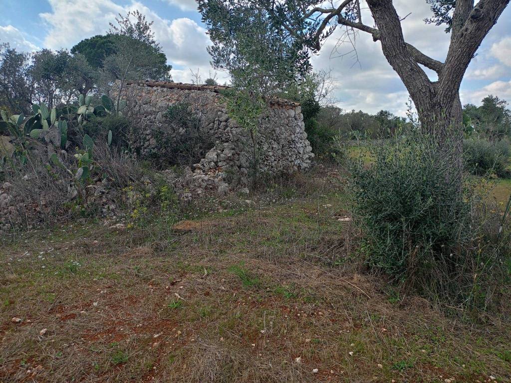 Terreno a Muro leccese in SP157 - Foto 3