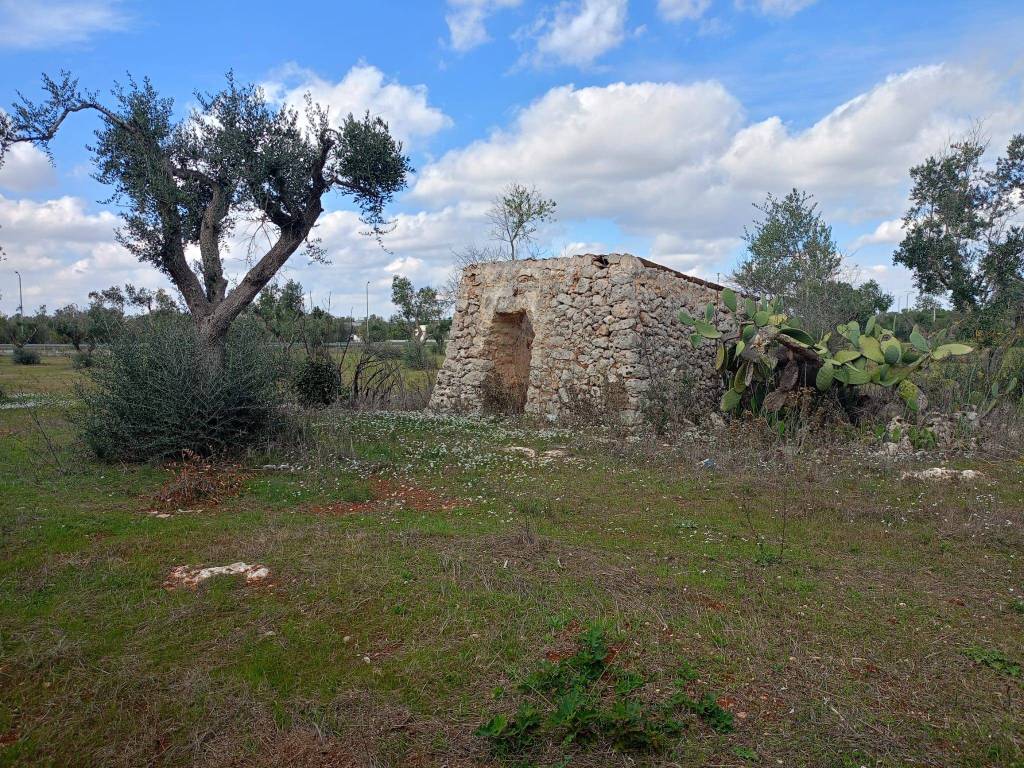 Terreno a Muro leccese in SP157 - Foto 4
