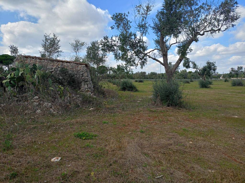 Terreno a Muro leccese in SP157 - Foto 5