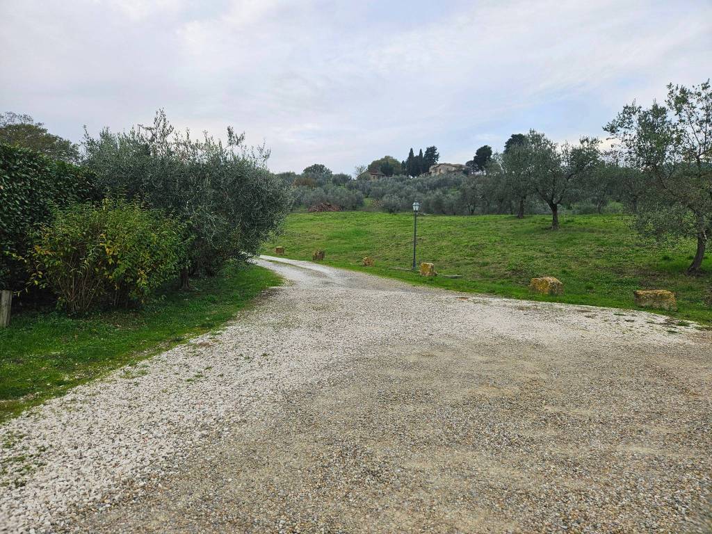 Rustico / casale a Vaglia - Foto 3