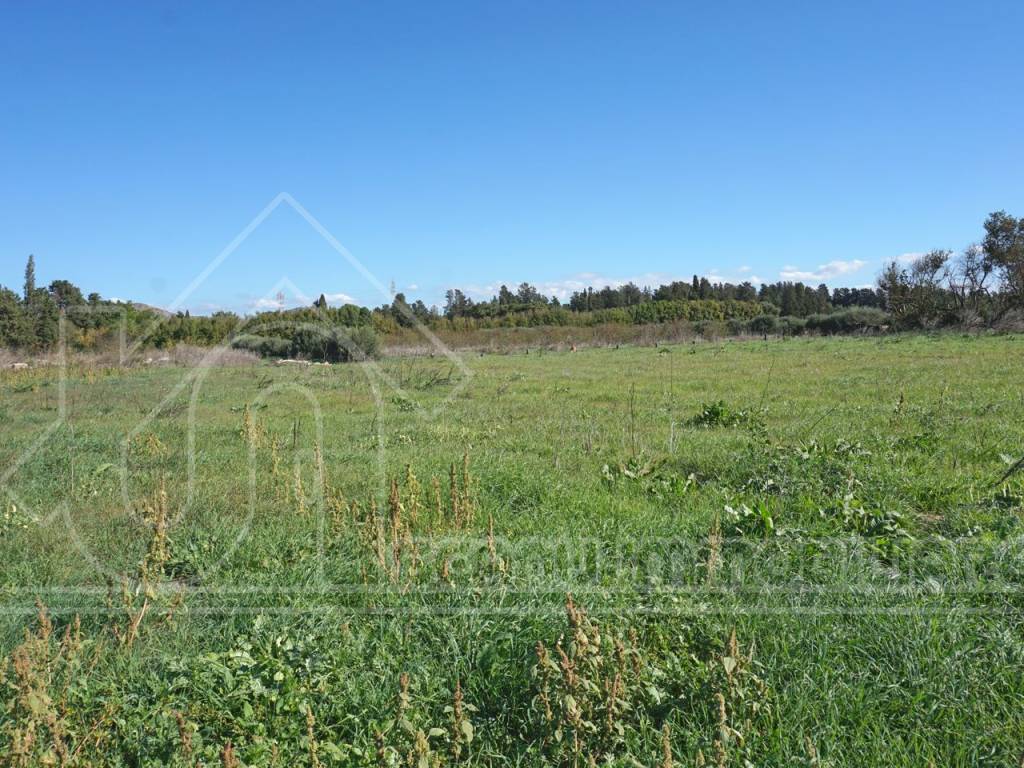 Terreno a Monastir - Foto 3