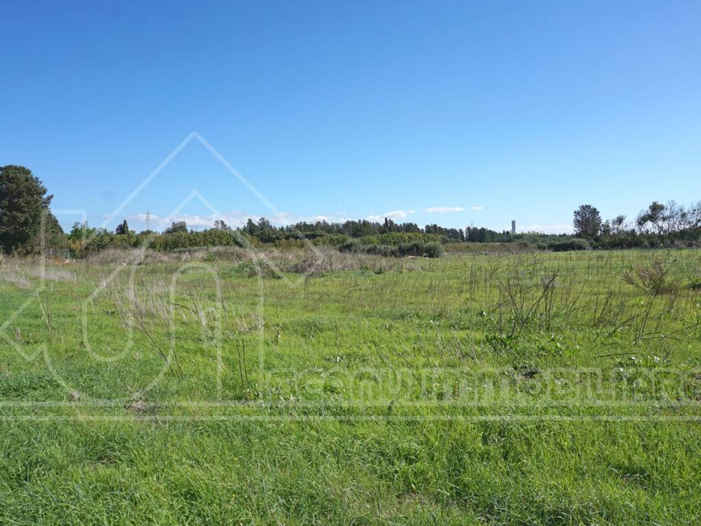 Terreno a Monastir - Foto 5