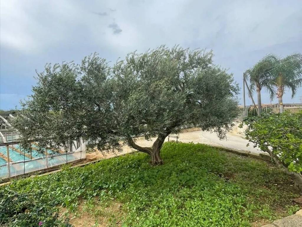 Villa a Marsala in Contrada Cutusio, 327 - Foto 4