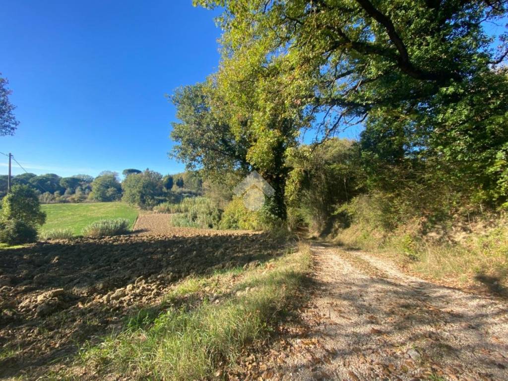 Rustico / casale a Acquasparta in Strada delle fontane selvarelle - Foto 2