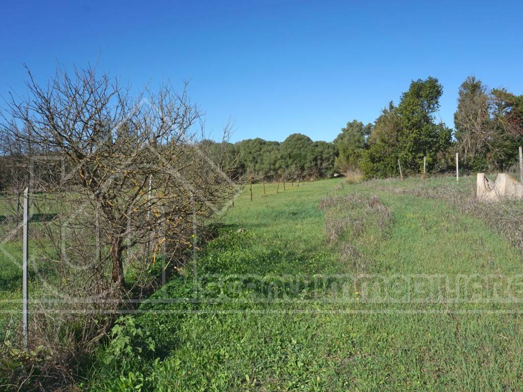 Terreno a Monastir - Foto 2