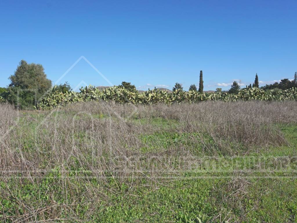 Terreno a Monastir - Foto 4