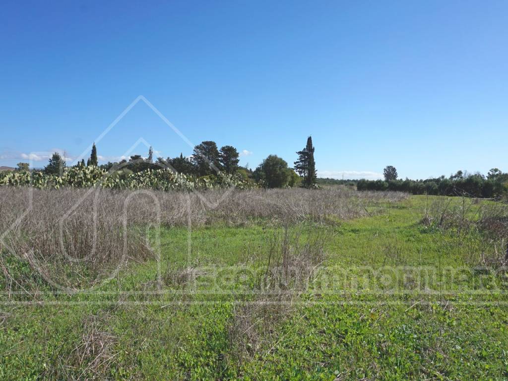 Terreno a Monastir - Foto 5