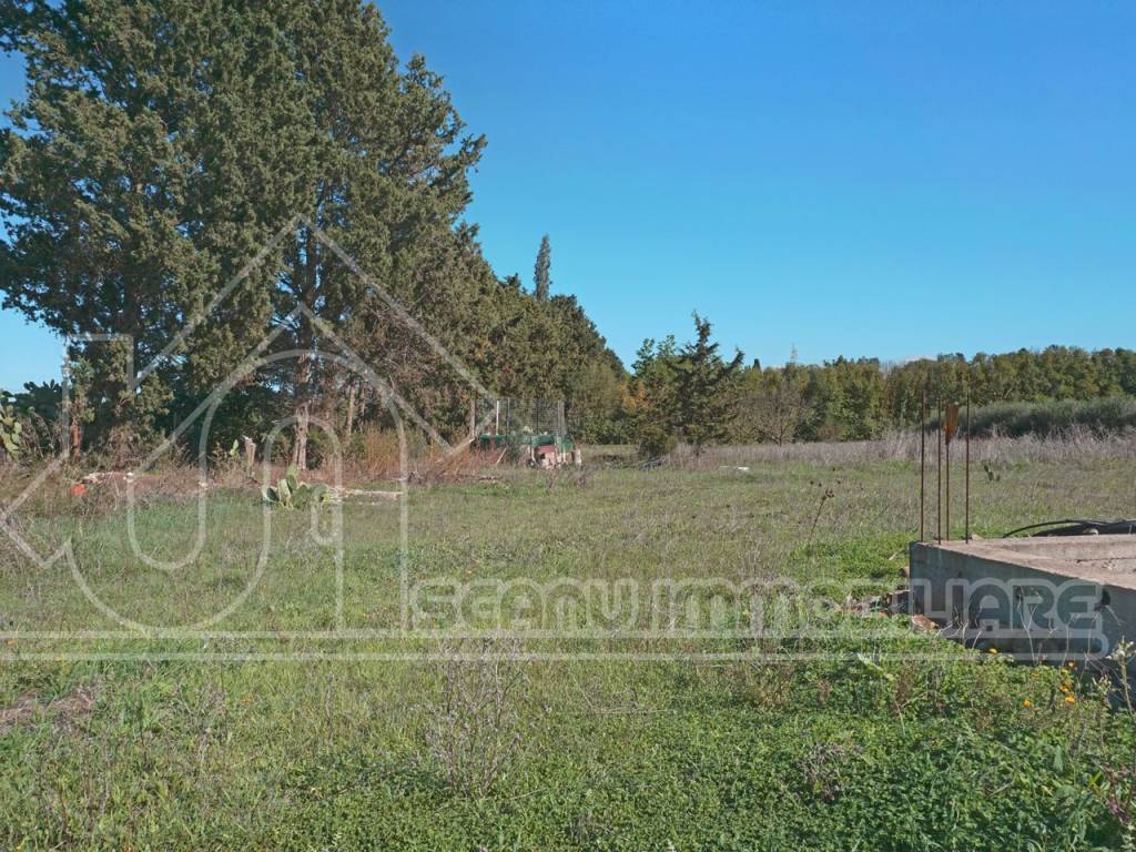 Terreno a Monastir - Foto 5