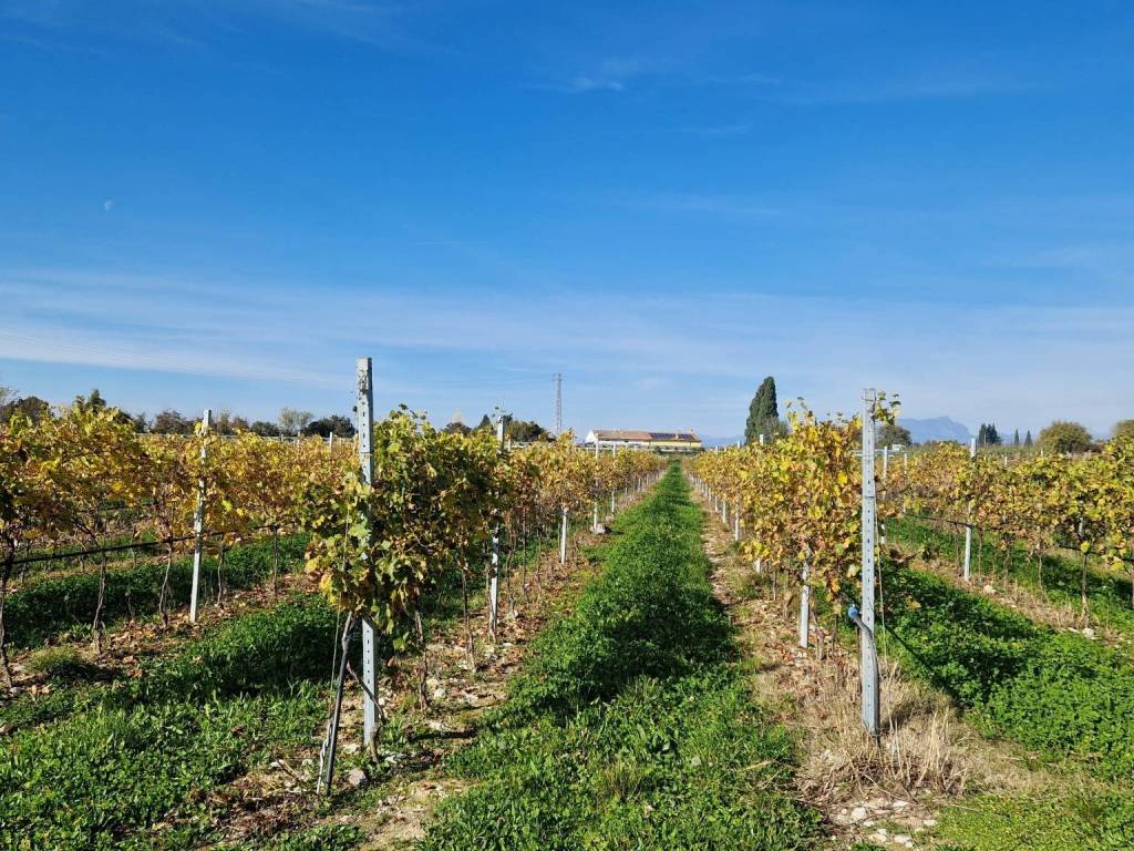 Terreno a Lazise in Strada delle Sernighe - Foto 2