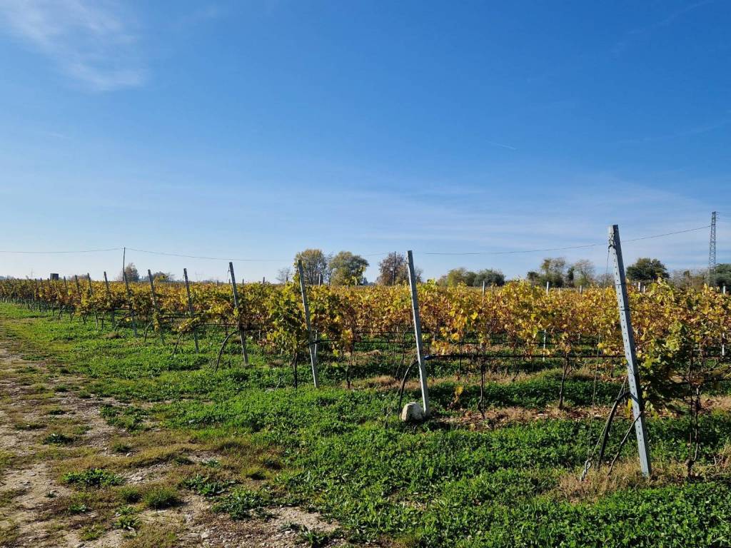 Terreno a Lazise in Strada delle Sernighe - Foto 3