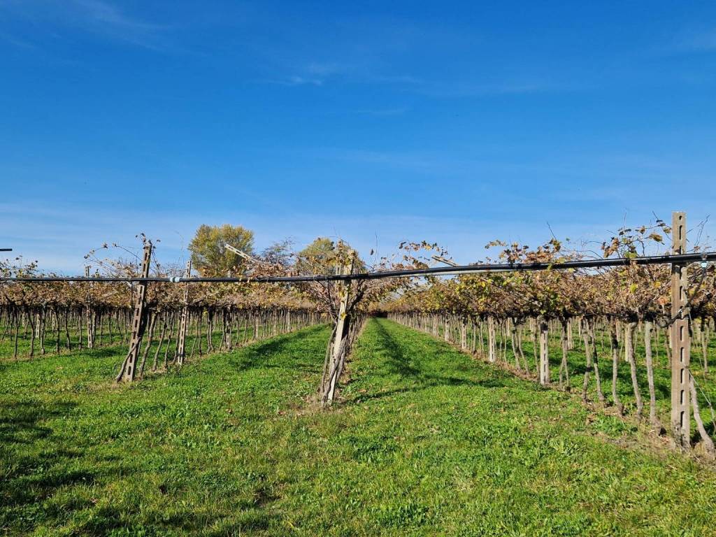 Terreno a Lazise in Strada delle Sernighe - Foto 4