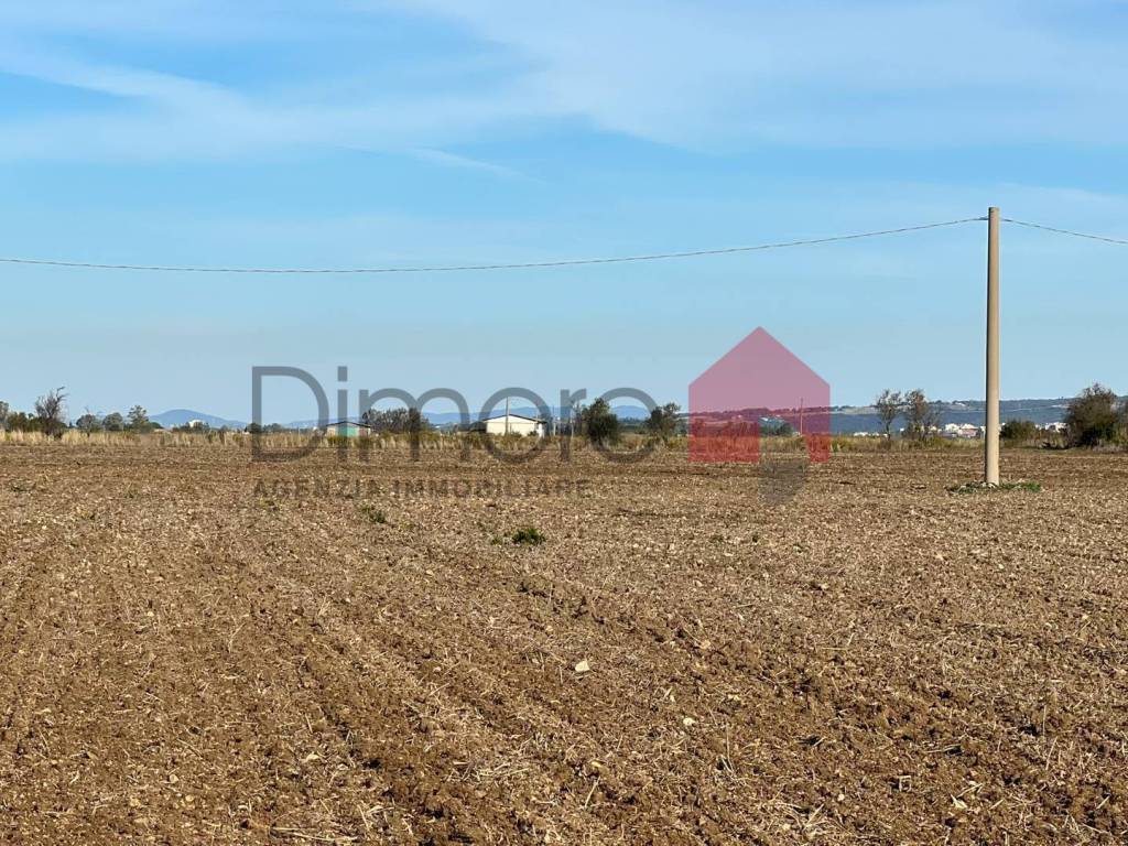 Terreno a Tarquinia in Loc. Cunicchio - Foto 4