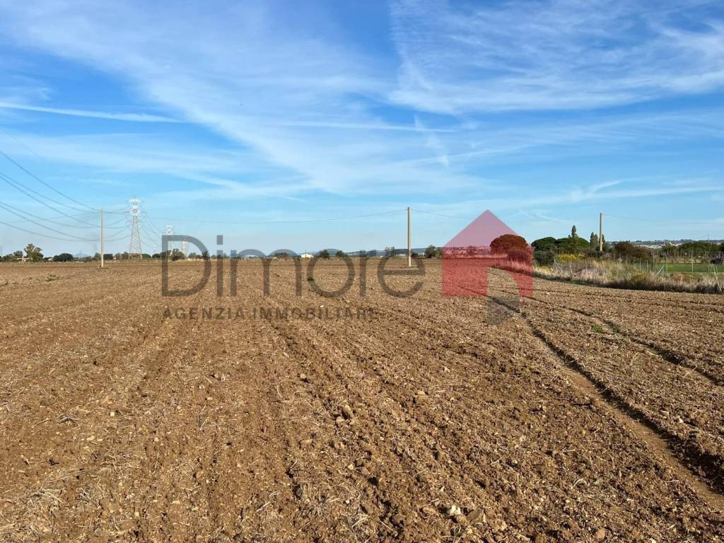 Terreno a Tarquinia in Loc. Cunicchio - Foto 5